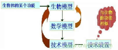 仿生傳感器的定義、原理、分類及應(yīng)用