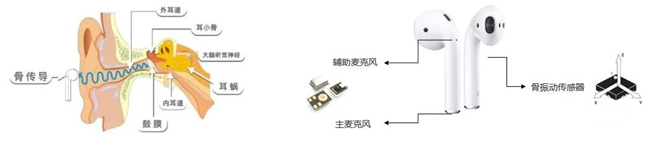 骨振動傳感器在TWS耳機中的應(yīng)用